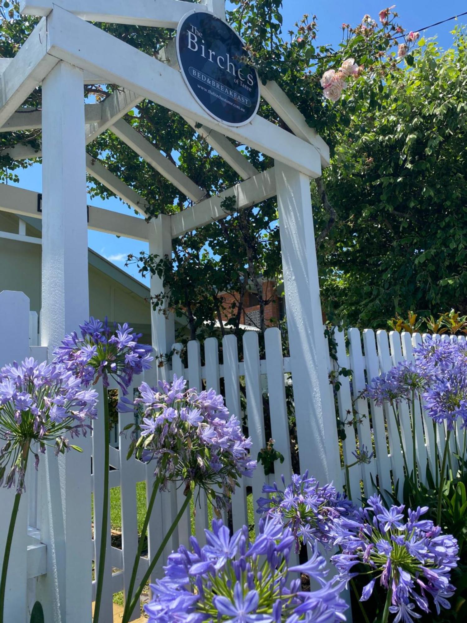 Birches B&B Taree Luaran gambar