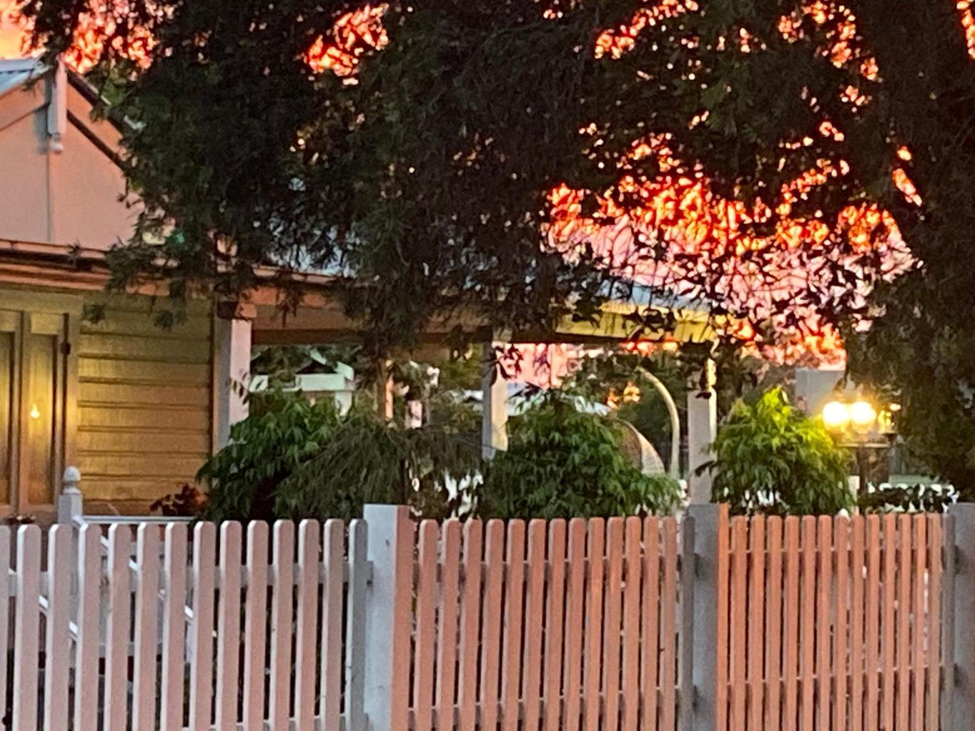 Birches B&B Taree Luaran gambar