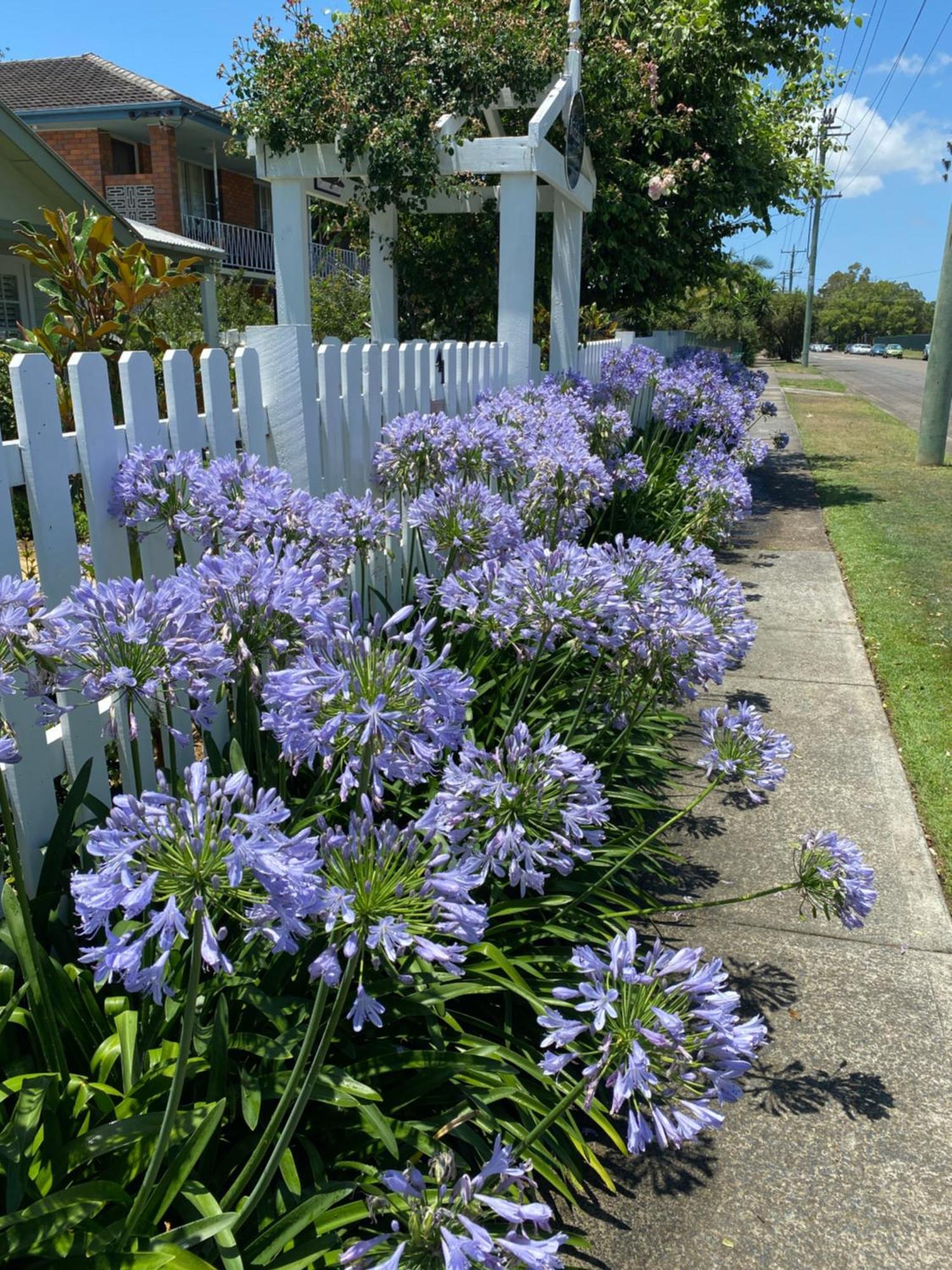 Birches B&B Taree Luaran gambar