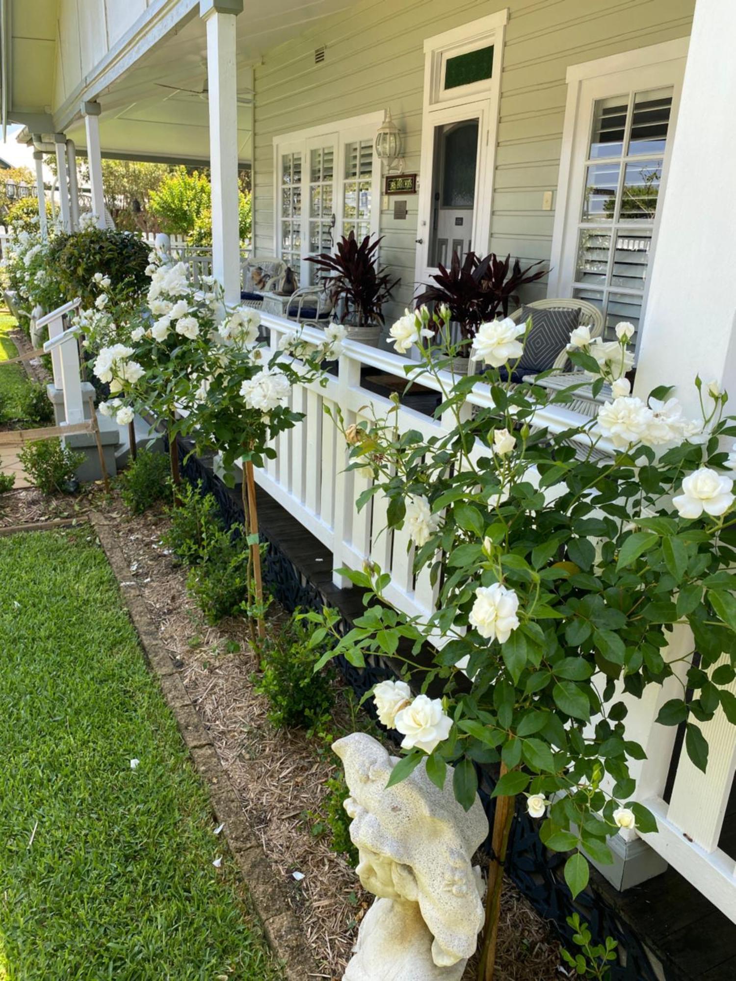 Birches B&B Taree Luaran gambar