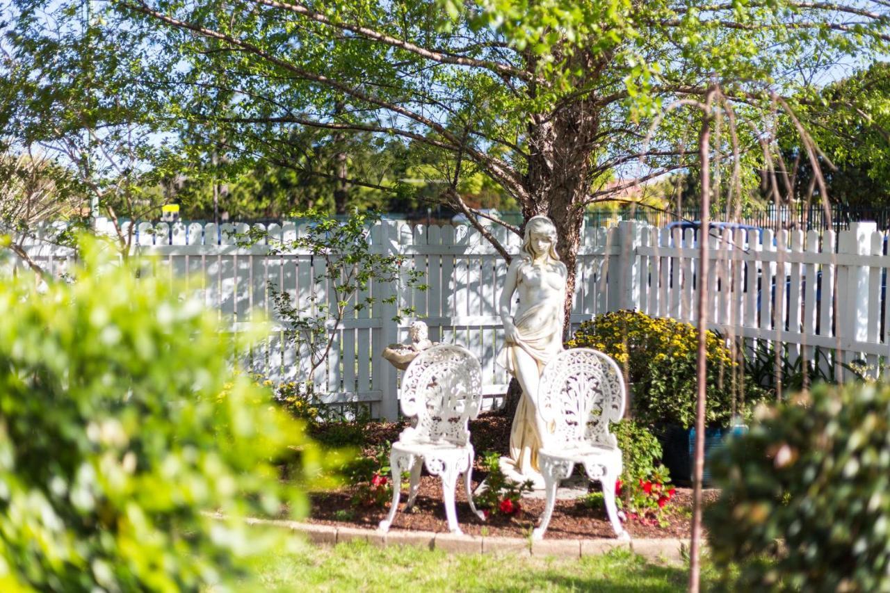 Birches B&B Taree Luaran gambar